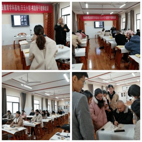 書(shū)法基地教培丨傳承經(jīng)典 弘揚(yáng)文化——株洲市義務(wù)教育階段書(shū)法教育學(xué)科基地第二期培訓(xùn)紀(jì)實(shí)與項(xiàng)目研發(fā)展望